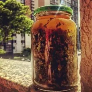 Kräutertinktur zur Blutzuckerregulierung